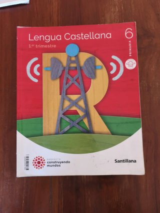 Lote libros 6 Primaria