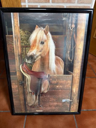 Cuadro de caballo en establo