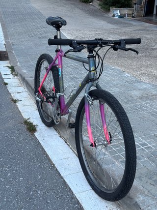 Bicicleta Orbea MTB Vintage