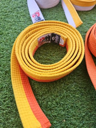 Cinturones Taekwondo (varios colores)