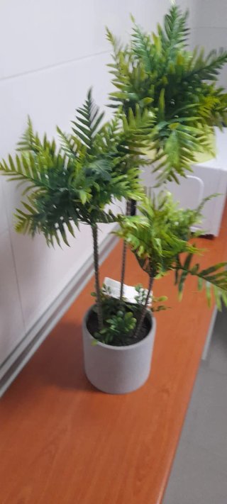 Planta artificial palmera decorativa
