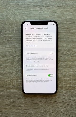 iPhone 12 Pro 100%