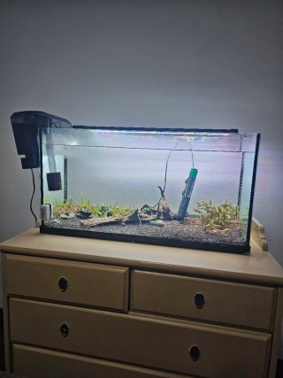 Acuario 100L con accesorios