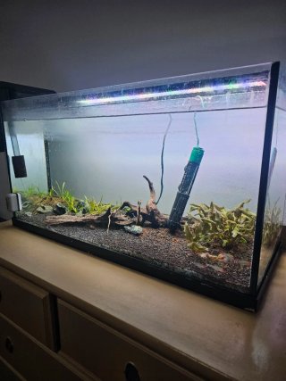 Acuario 100L con accesorios
