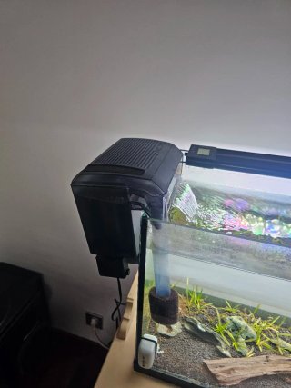Acuario 100L con accesorios