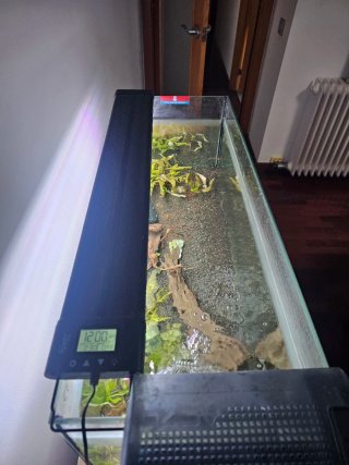 Acuario 100L con accesorios