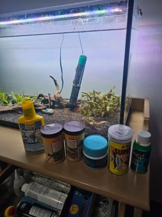 Acuario 100L con accesorios