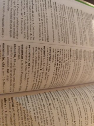NUEVO DICCIONARIO BÁSICO DE LA LENGUA ESPAÑOLA ...
