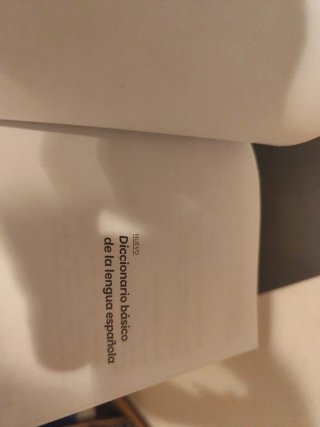NUEVO DICCIONARIO BÁSICO DE LA LENGUA ESPAÑOLA ...