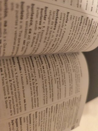 NUEVO DICCIONARIO BÁSICO DE LA LENGUA ESPAÑOLA ...