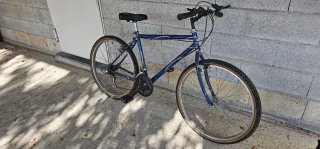 Bicicleta de montaña azul