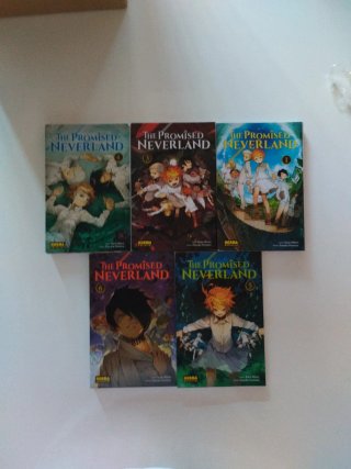 THE PROMISED NEVERLAND