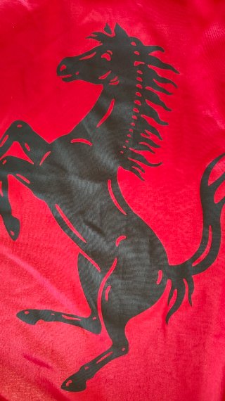 Funda Ferrari F430 F360 ORIGINAL