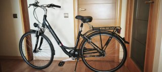 Bicicleta Paseo Kalkhoff 7V Shimano Nexus