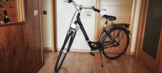 Bicicleta Paseo Kalkhoff 7V Shimano Nexus