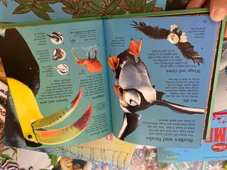 Libros infantiles en inglés