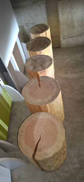 Ceppo Sgabello Legno Grezzo