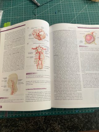 COMO NUEVO: Fundamentos de psicobiología UNED