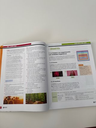 Lengua Castellana, 2 ESO, Programa Carmen de Bu...