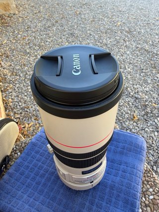 Canon EF 300mm f/4 L IS USM