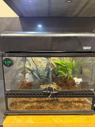 Terrario Exo Terra Negro y Marrón