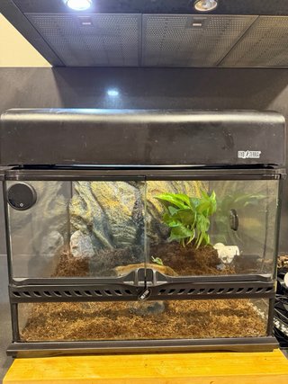 Terrario Exo Terra Negro y Marrón