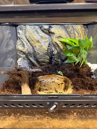 Terrario Exo Terra Negro y Marrón