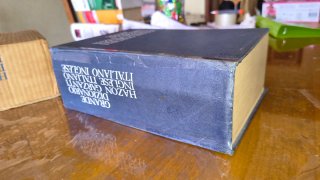 Dizionario Inglese