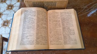 Dizionario Inglese