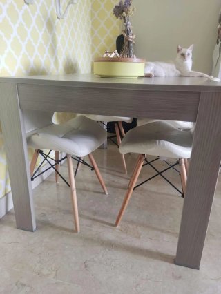 Mesa de comedor extensible y sillas