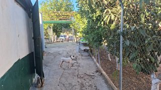 Parcela con dos naves,luz y agua