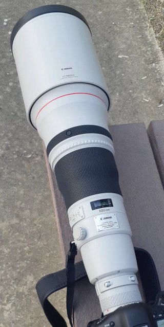 Canon EF 600mm f/4 L IS II USM