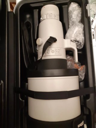 Canon EF 600mm f/4 L IS II USM