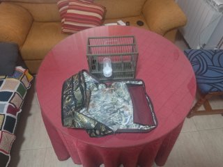 Jaula para pájaro con bebedero