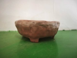 Maceta de terracota para bonsai