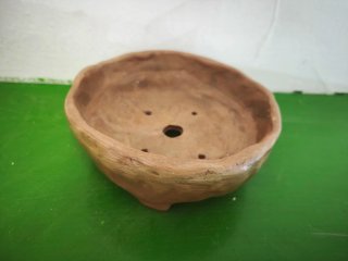 Maceta de terracota para bonsai