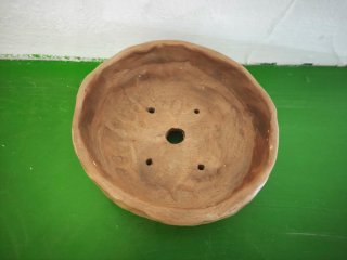 Maceta de terracota para bonsai