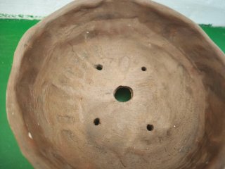 Maceta de terracota para bonsai