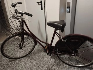 Bici Holland Graziella Uomo Donna