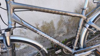 Bicicleta Giant Paseo Hombre.Con Alforjas