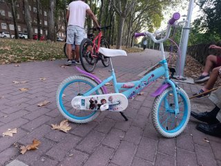 Bicicleta Frozen Niña