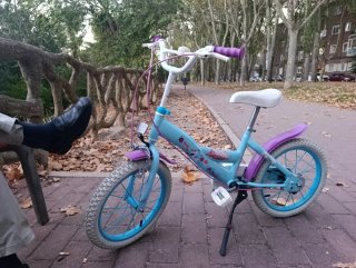 Bicicleta Frozen Niña