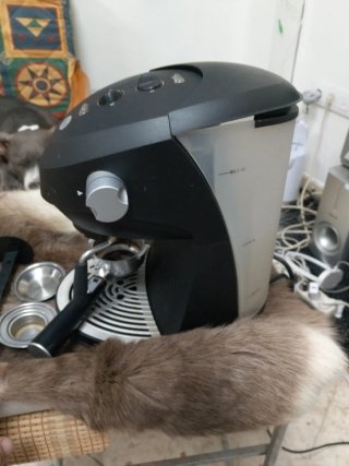 Cafetera Polti Espressi 550