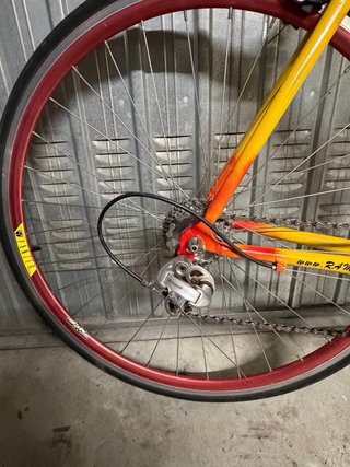 Bici da corsa Campagnolo 9V