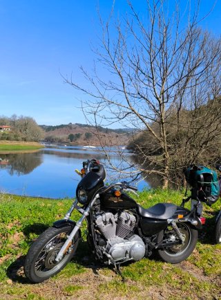 Harley Davidson 883 Low Negra