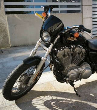 Harley Davidson 883 Low Negra