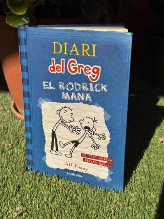 Libro diari de Greg 2