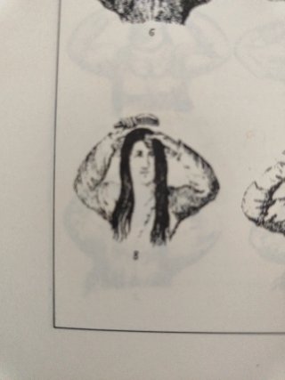 Libro peluquería arte de peinarse las señoras