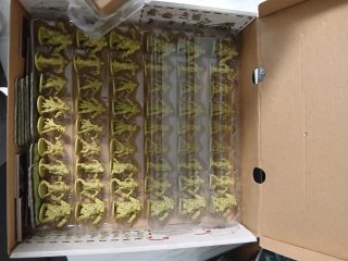 Zombicide Green Horde Español