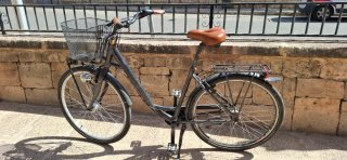 Bicicleta Paseo Talla XL